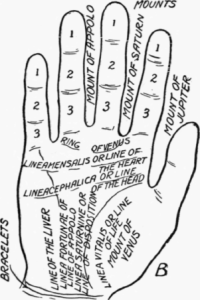 Palm reading